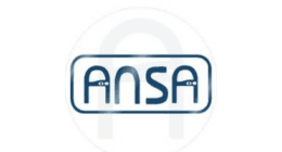 ANSA  Rollsmart Handset (new style) 2 channel button handset keyfob remote control